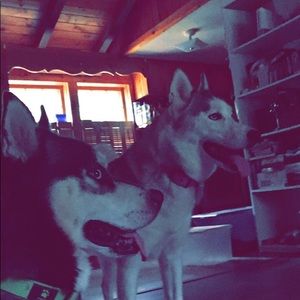 Meet your Posher, Haley